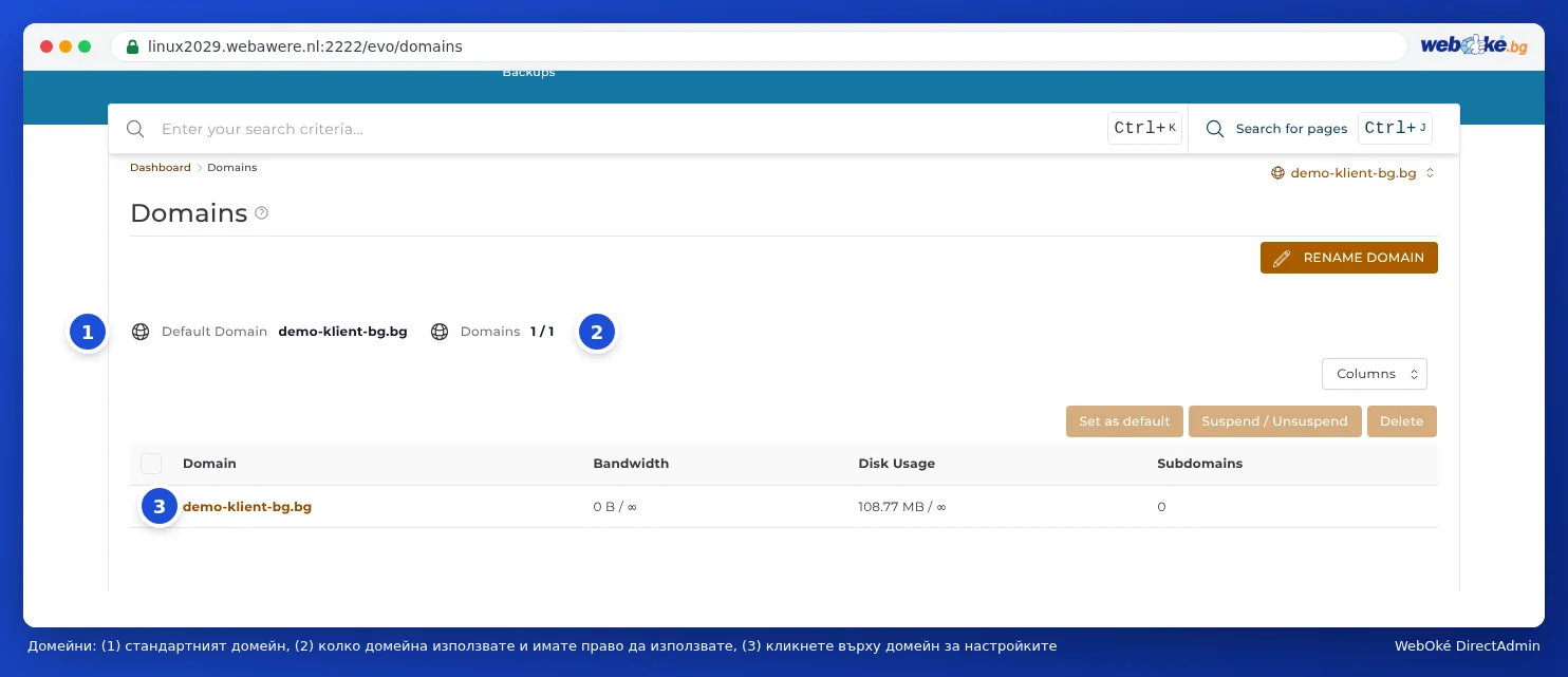 Прегледът Domains в DirectAdmin със стандартния domain, брояча Domains 1 / 1 и таблицата с domain-и