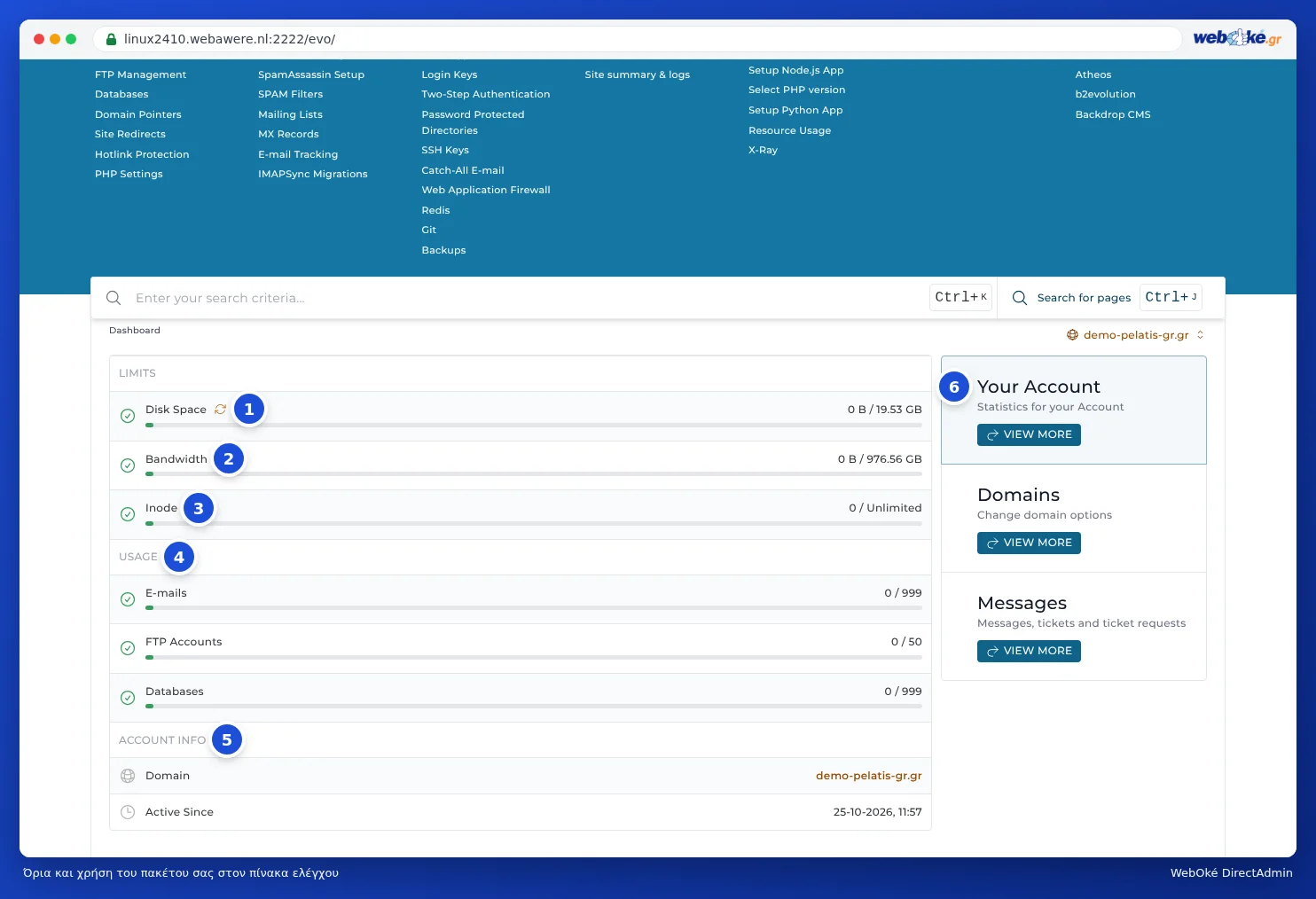 Το μπλοκ με τα όρια στο dashboard: Disk Space, Bandwidth και Inode, από κάτω η χρήση email, λογαριασμών FTP και βάσεων δεδομένων