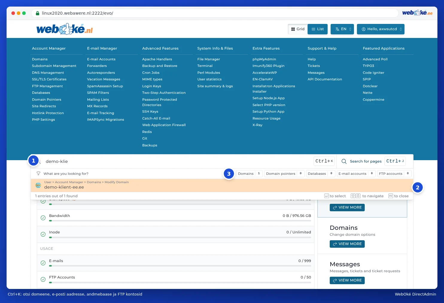 DirectAdmini otsinguriba sõnaga voorbeeld, selle all filtrid Domains, Databases, E-mail accounts ja FTP accounts ning leitud domeen