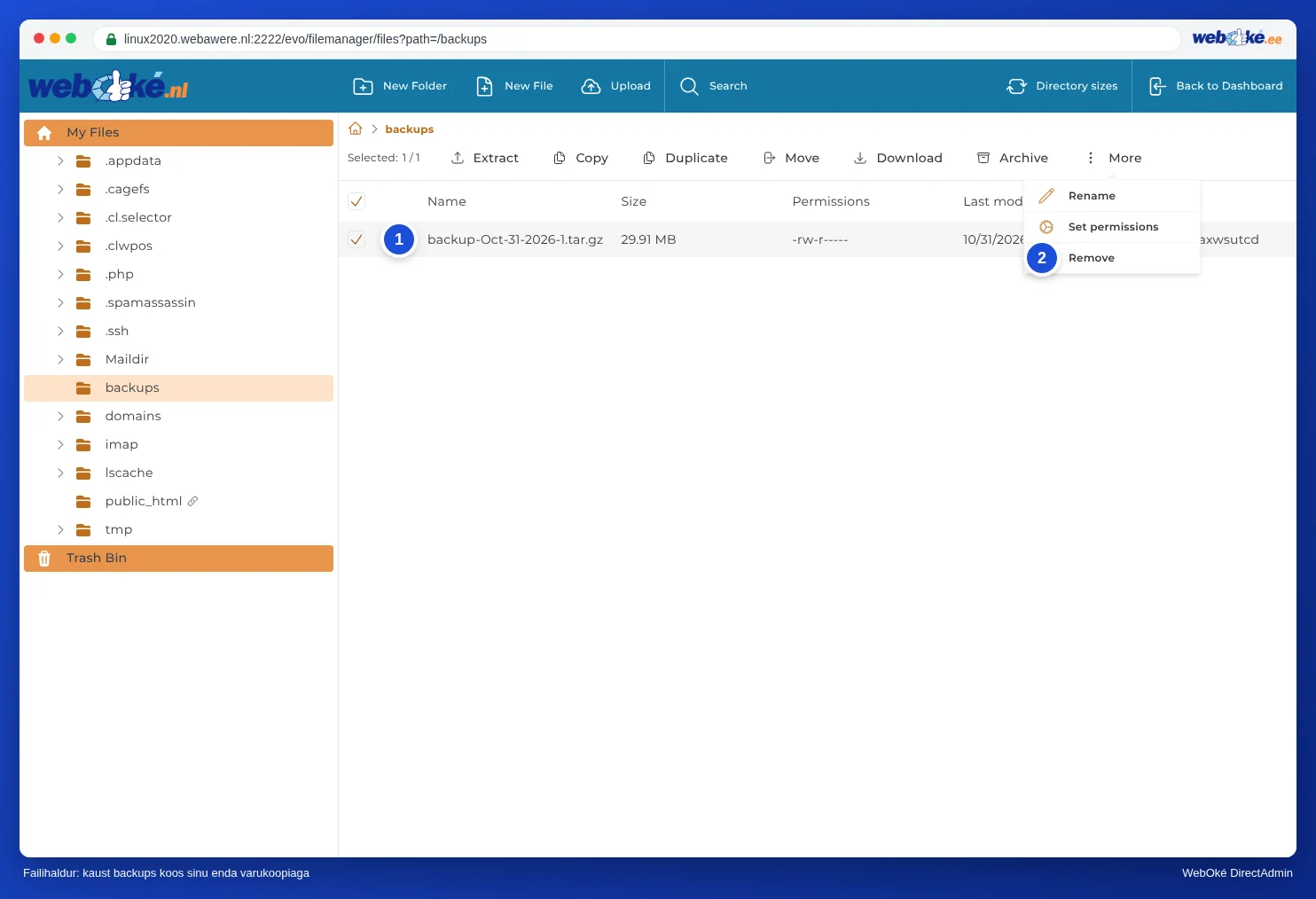 File Manager koos kaustaga backups, märgitud varukoopia failiga ja menüüga More, kus on valik Kustuta