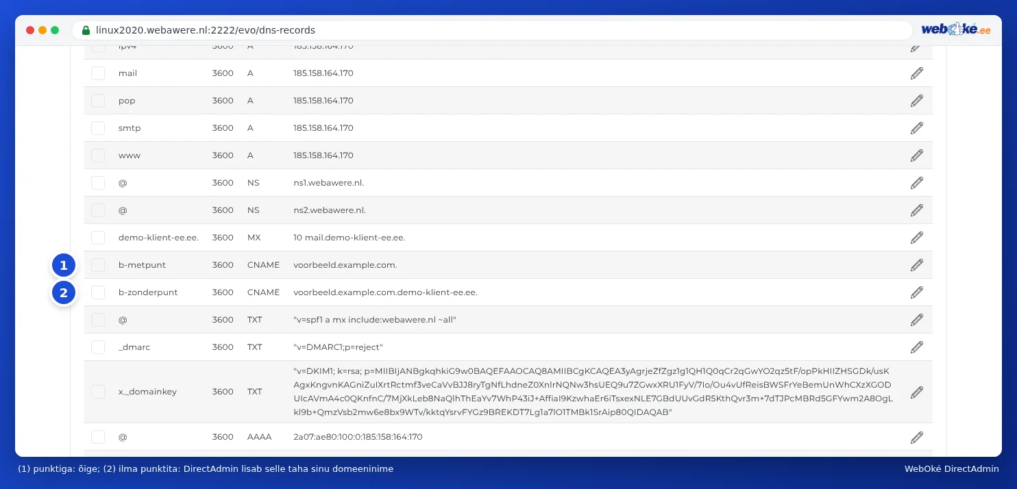 Kaks CNAME-kirjet DNS Administration vaates: üks punktiga lõpus ja üks ilma punktita, mille taha DirectAdmin on lisanud domeeninime