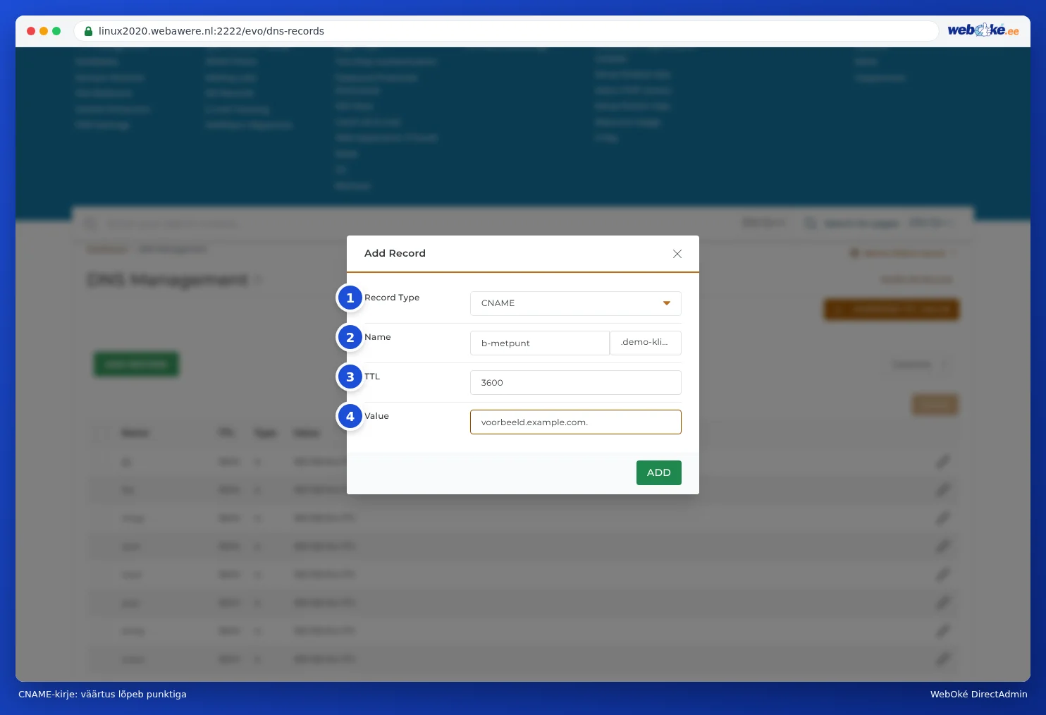 Record toevoegen aken tüübiga CNAME, nimega b-metpunt ja väärtusega voorbeeld.example.com. koos punktiga lõpus