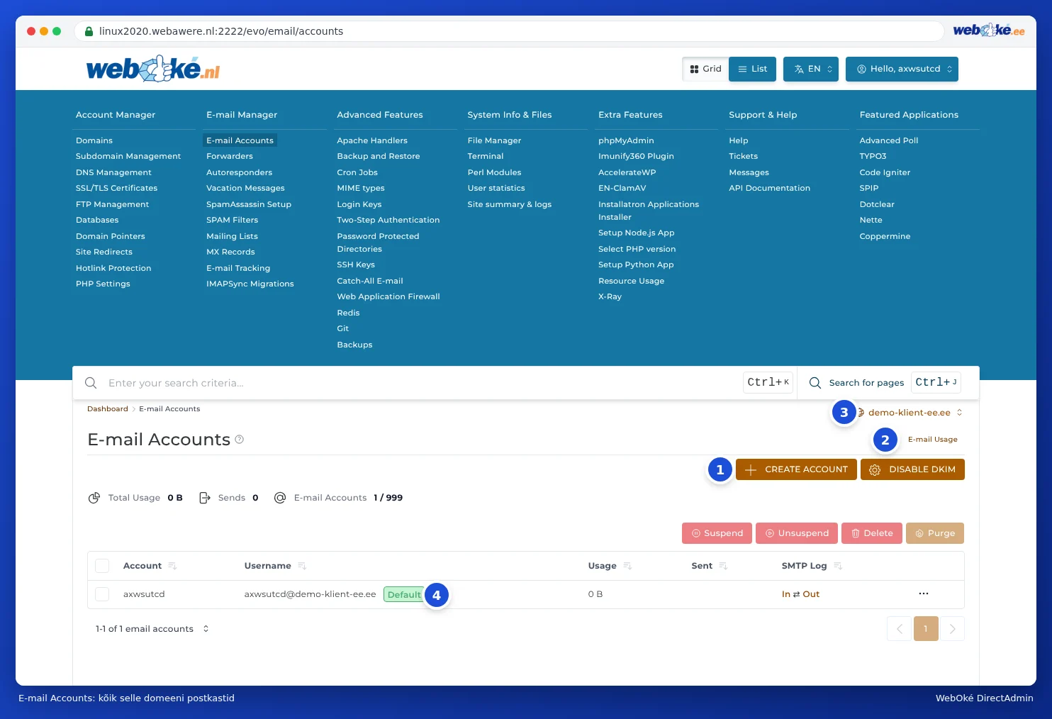 E-mail Accounts leht DirectAdminis koos nupuga Create Account, lingiga E-mail Usage, domeenivalijaga ja vaikimisi e-postikontoga
