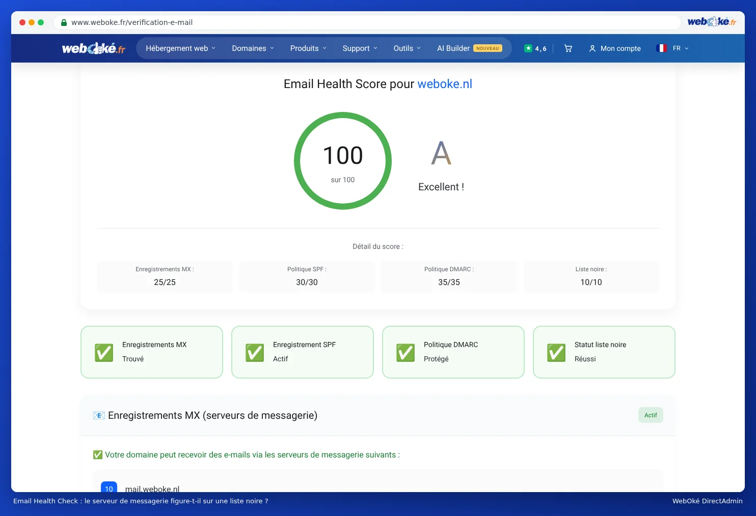 La section listes noires de l'Email Health Check indiquant pour chaque liste si le serveur de messagerie y figure