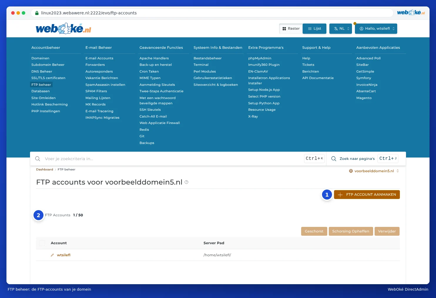 The FTP Management section in DirectAdmin with the list of FTP accounts and the Create FTP Account button