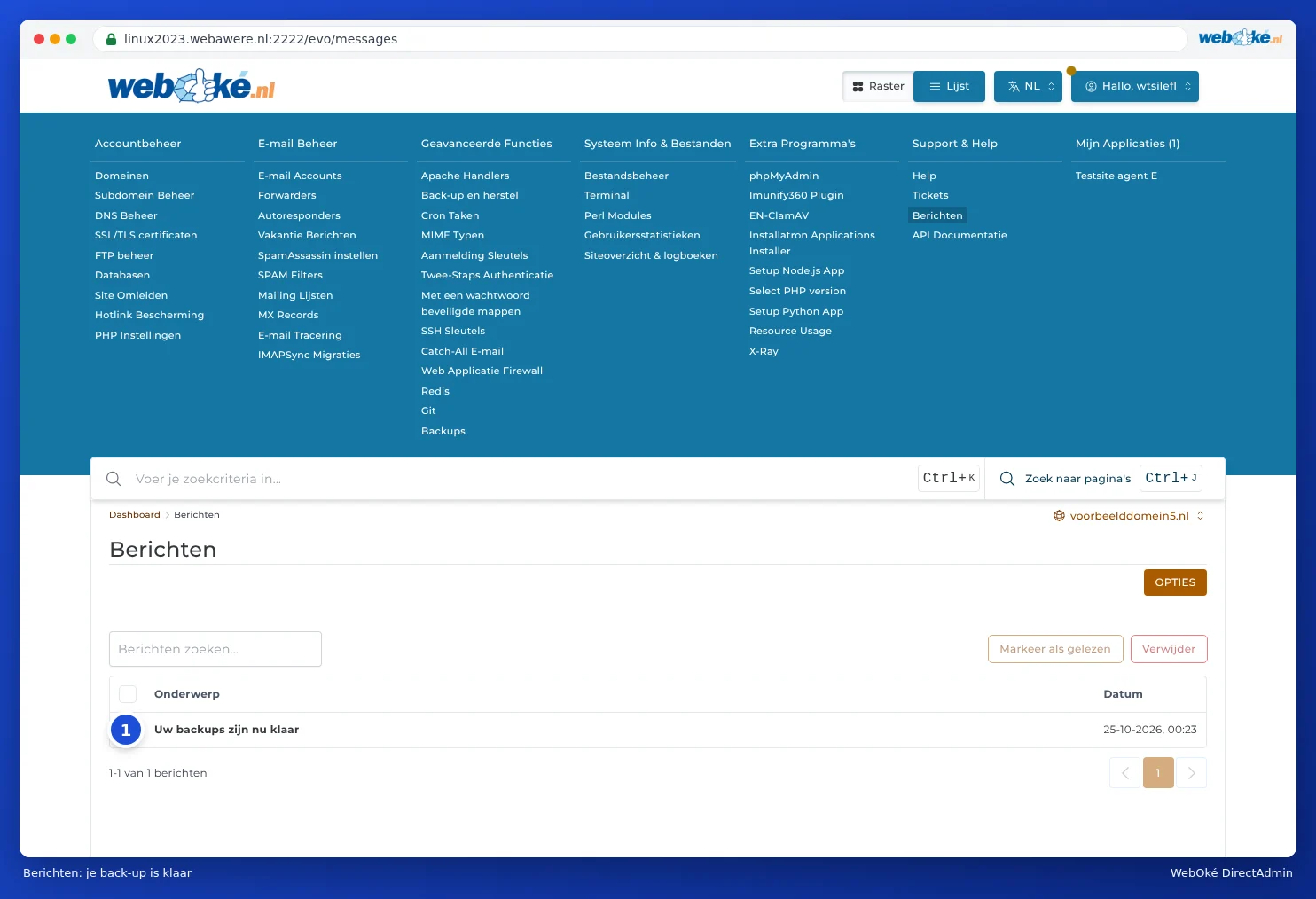 Die Seite Nachrichtenbereich in DirectAdmin mit einer Nachricht, dass das Backup fertig ist