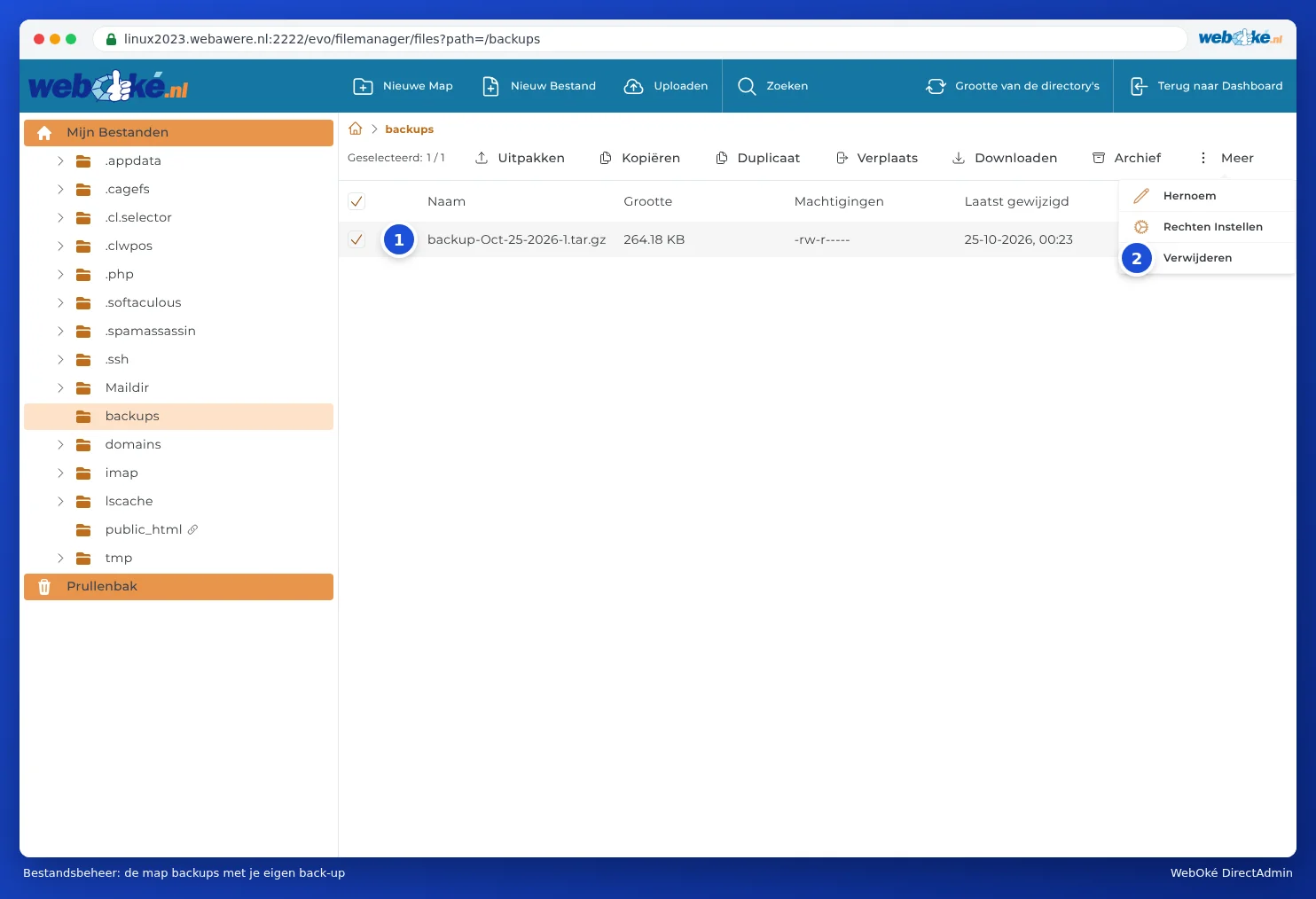File Manager with the backups folder, a ticked backup file and the More menu with Delete