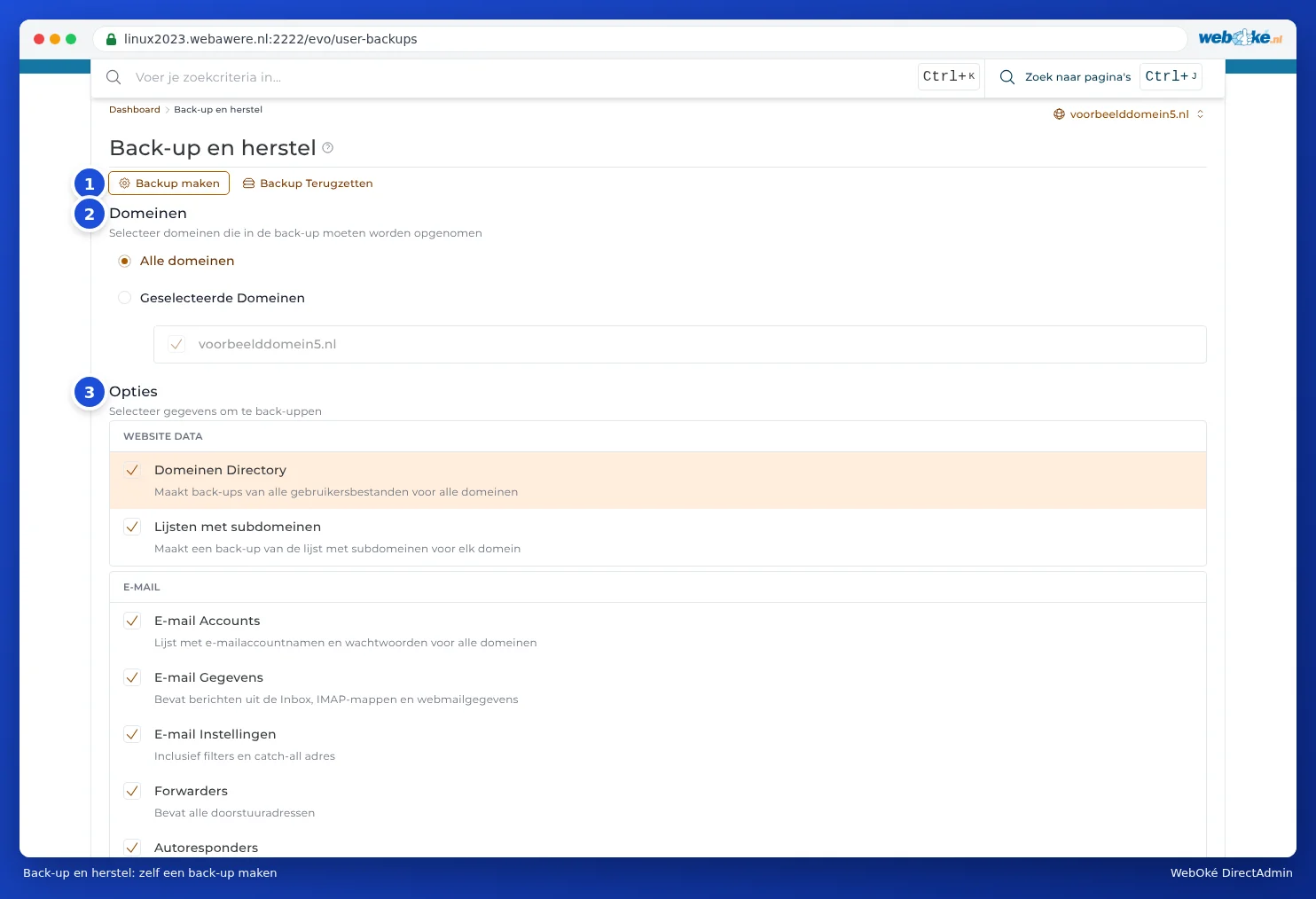 Der Tab Backup erstellen von Sichern und Wiederherstellen mit der Auswahl der Domains und der Optionen