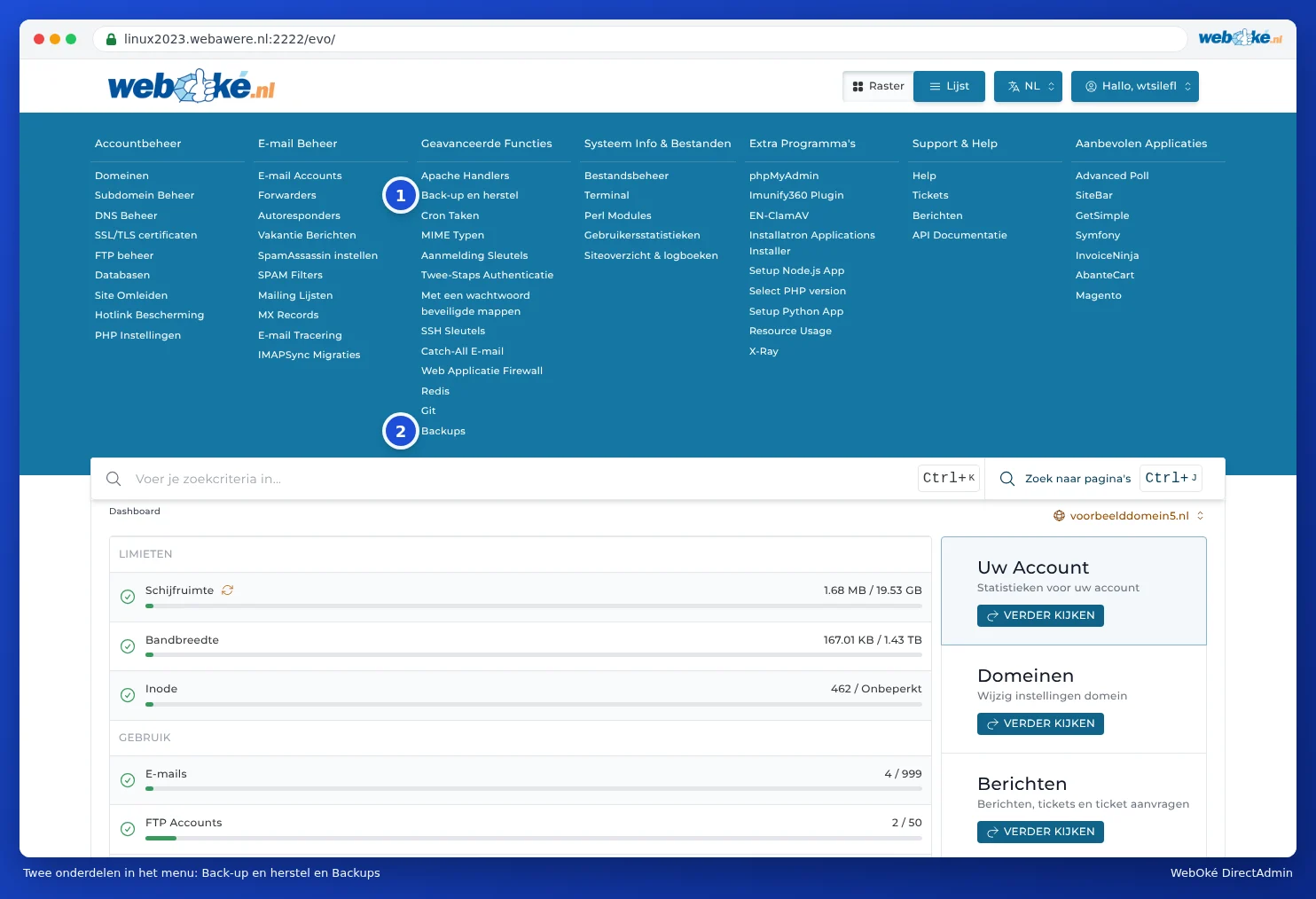 The menu of DirectAdmin showing the Backup and Restore and Backups sections under Advanced Features