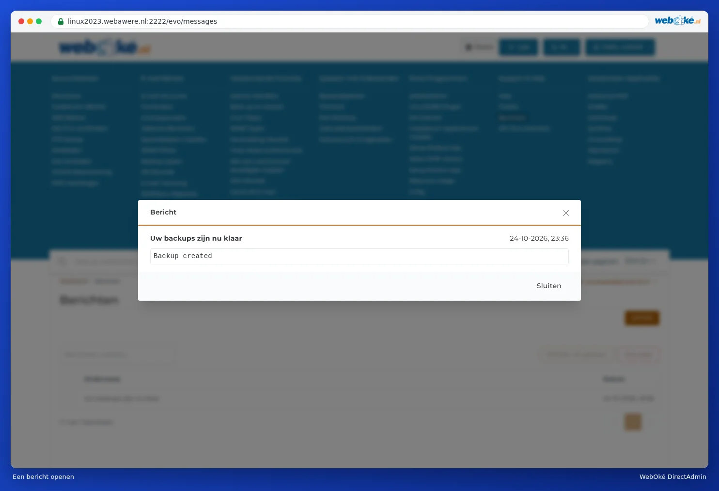 An opened message in DirectAdmin