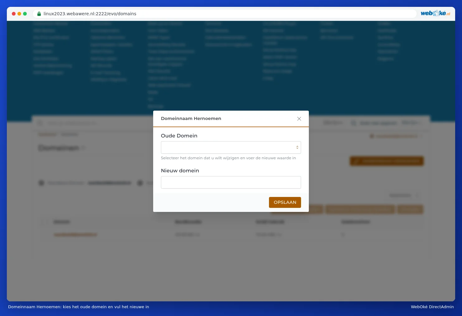 The Rename Domain window with the Old Domain and New Domain fields