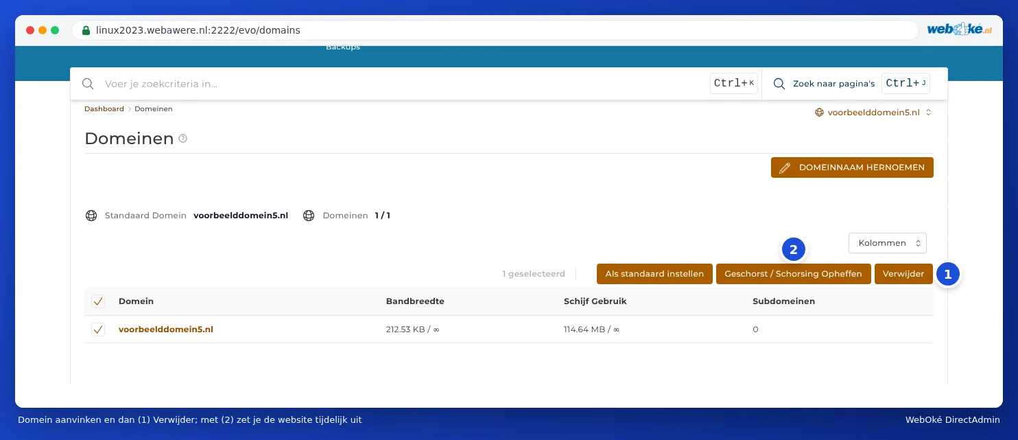 The Domains page with a ticked domain and the Delete and Suspend / Unsuspend buttons
