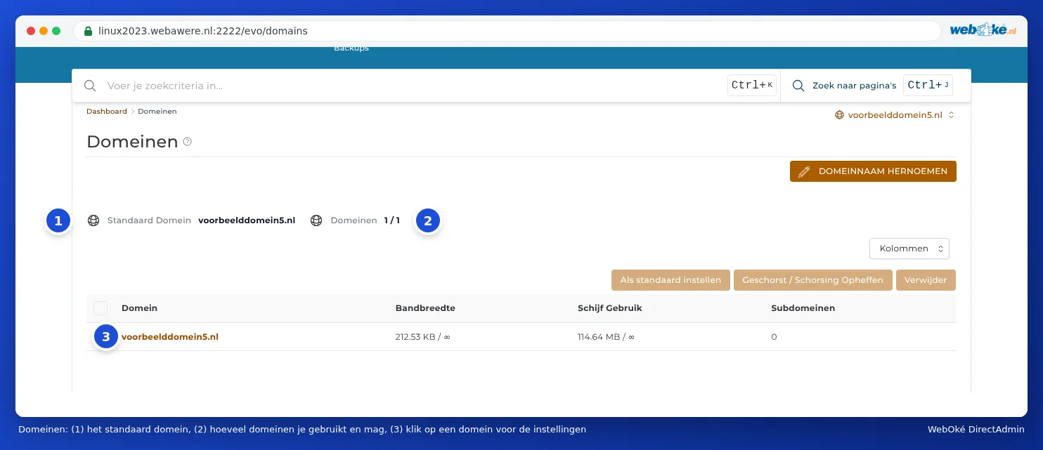 El resumen Dominios en DirectAdmin con el dominio predeterminado, el contador Dominios 1 / 1 y la tabla de dominios