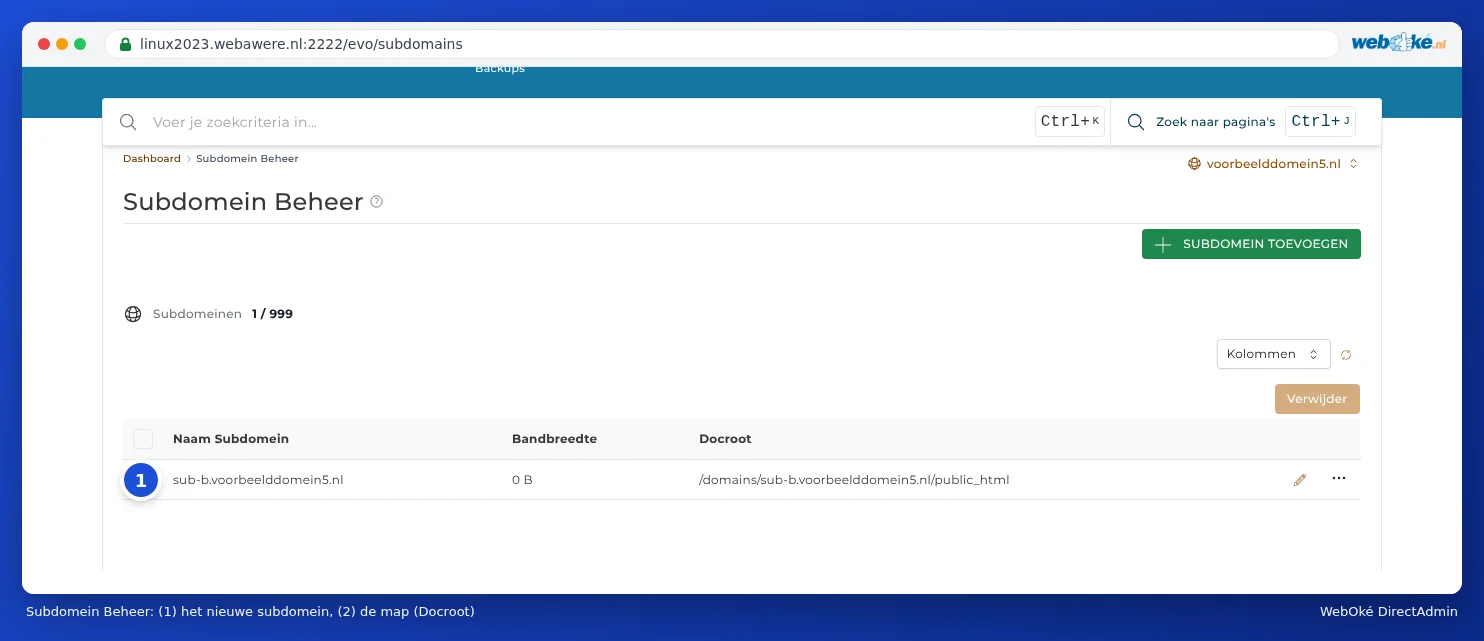 Subdomain Management with the new subdomain in the list and the folder shown in the Docroot column