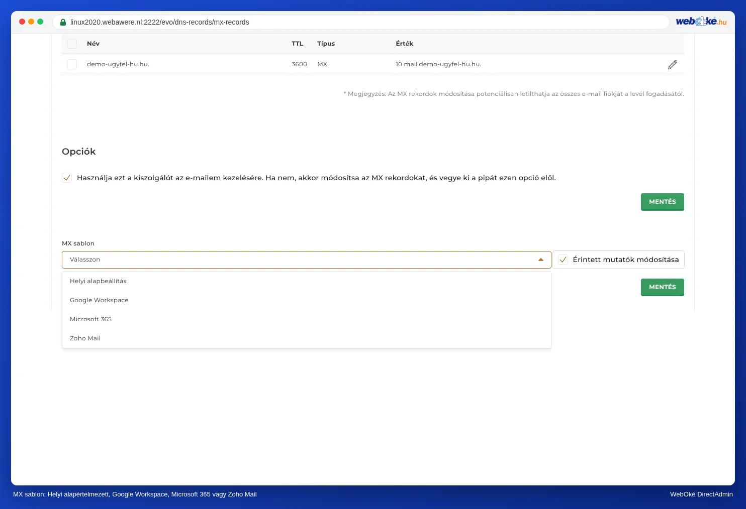 Az MX sablon legördülő lista a Lokale Standaard, Google Workspace, Microsoft 365 és Zoho Mail opciókkal
