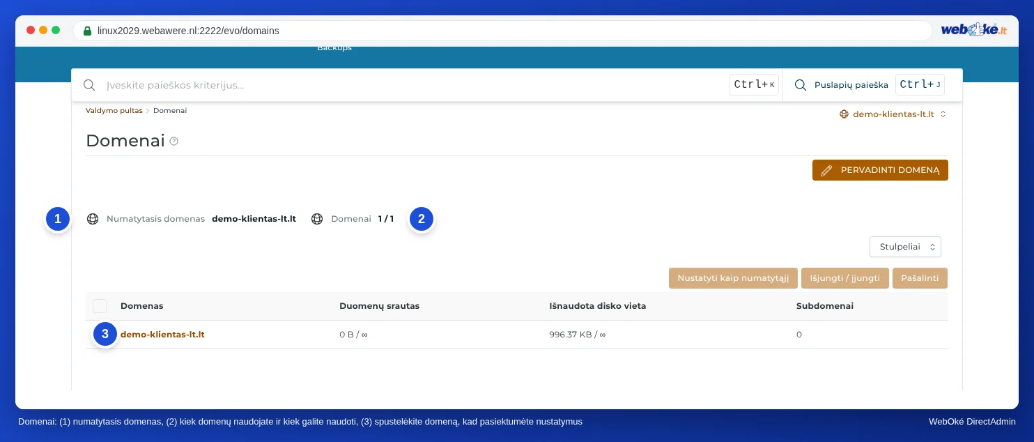 Skiltis Domenai DirectAdmin su numatytuoju domenu, skaitikliu Domenai 1 / 1 ir domenų lentele