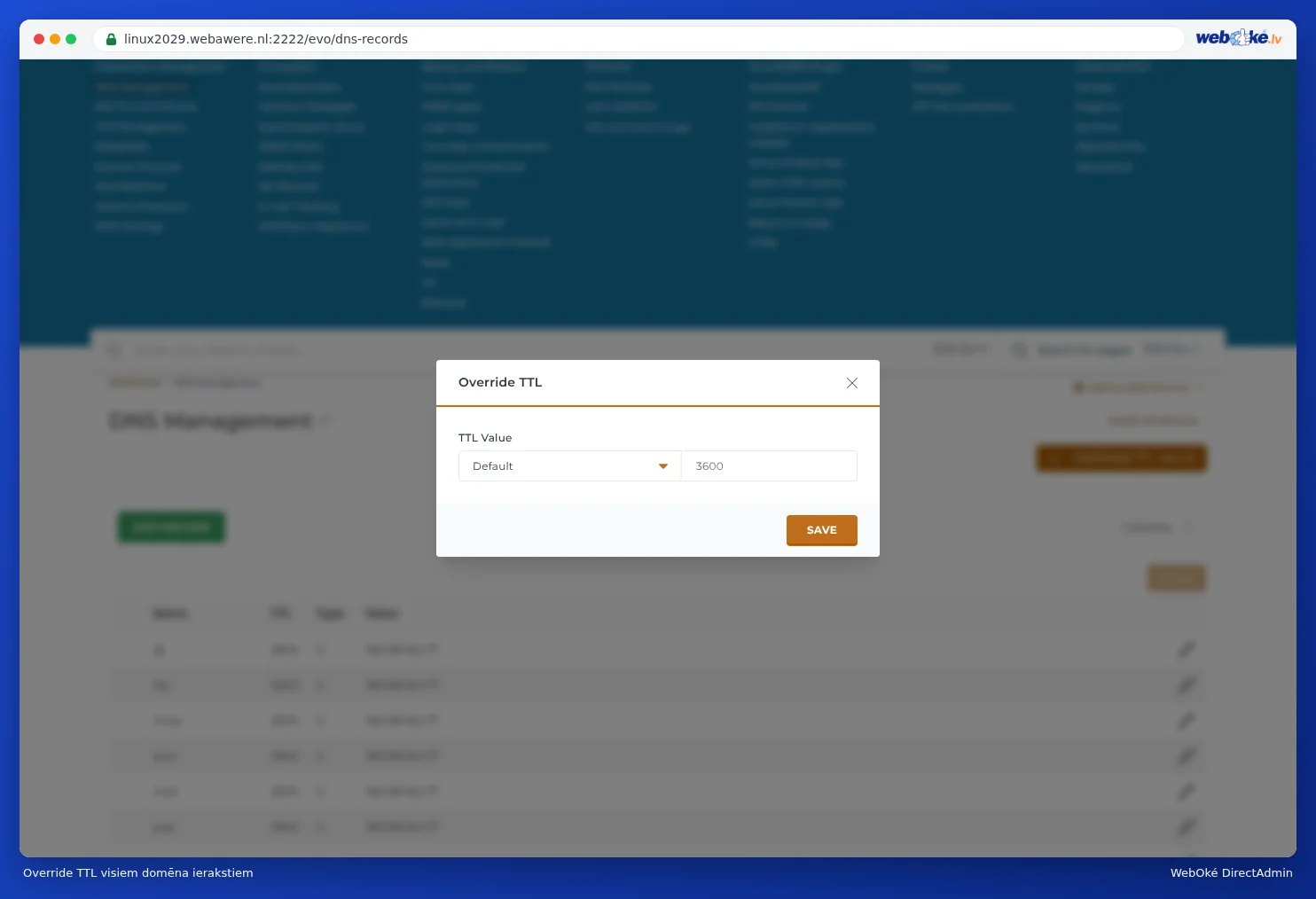 Logs Override TTL ar lauku TTL Value iestatītu uz Default un pogu Saglabāt