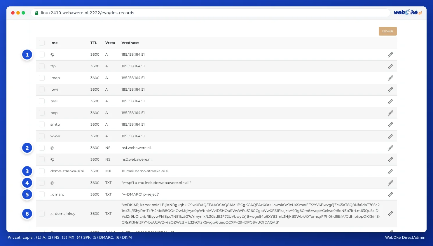 Tabela s standardnimi zapisi DNS: A, NS, MX, TXT za SPF, DMARC in DKIM, ter AAAA