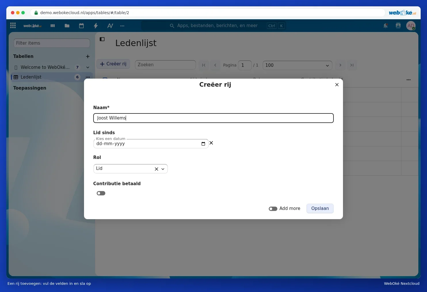 The window for filling in a new row