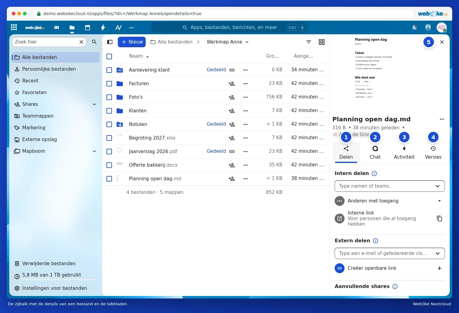 Le panneau latéral d'un fichier avec les onglets Partager, Chat, Activité et Versions