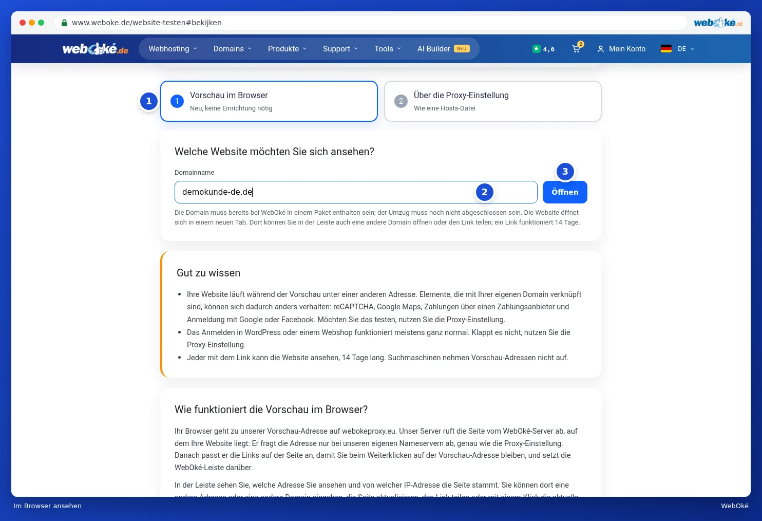 Die Registerkarte Vorschau im Browser mit eingetragenem Domainnamen und der Schaltfläche Öffnen