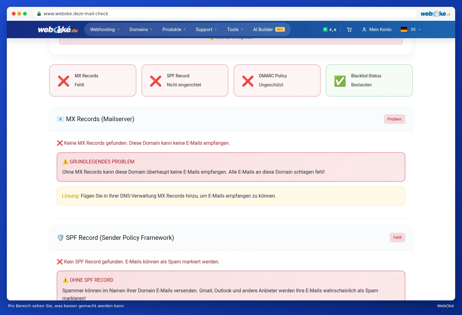 Die Bereiche MX Records, SPF Record, DMARC Policy und Blacklist Status