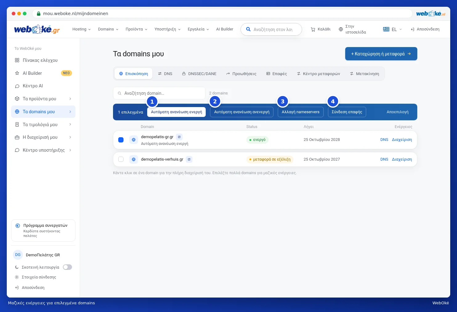 Η μπλε γραμμή με ενέργειες για τα επιλεγμένα domains