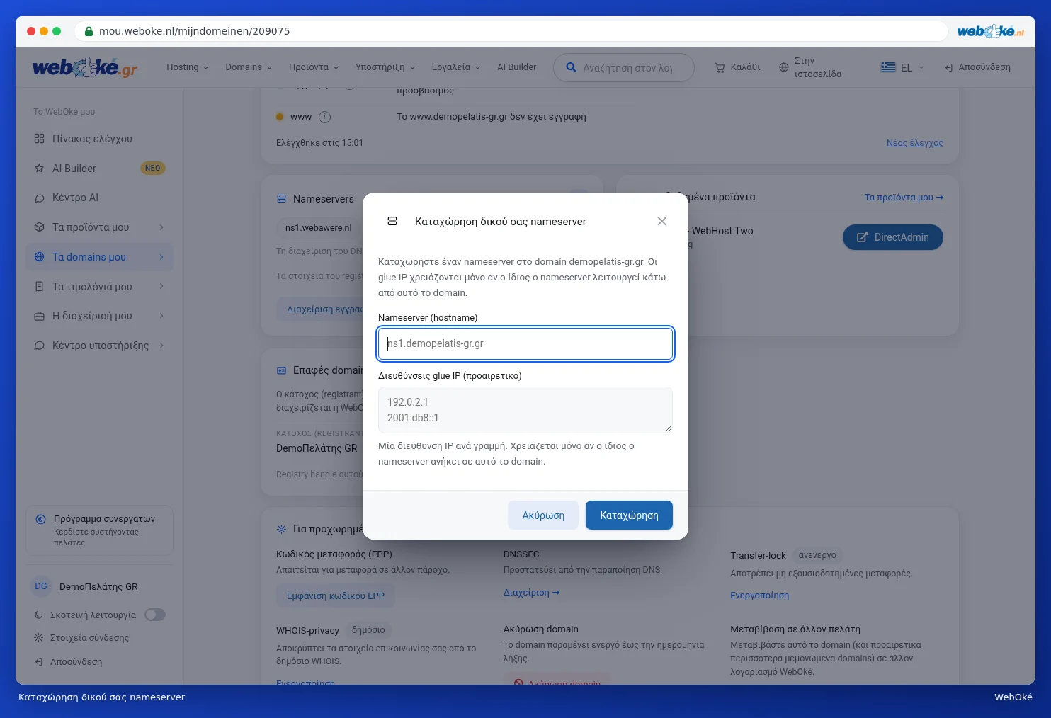 Το παράθυρο Καταχώρηση δικού σας nameserver