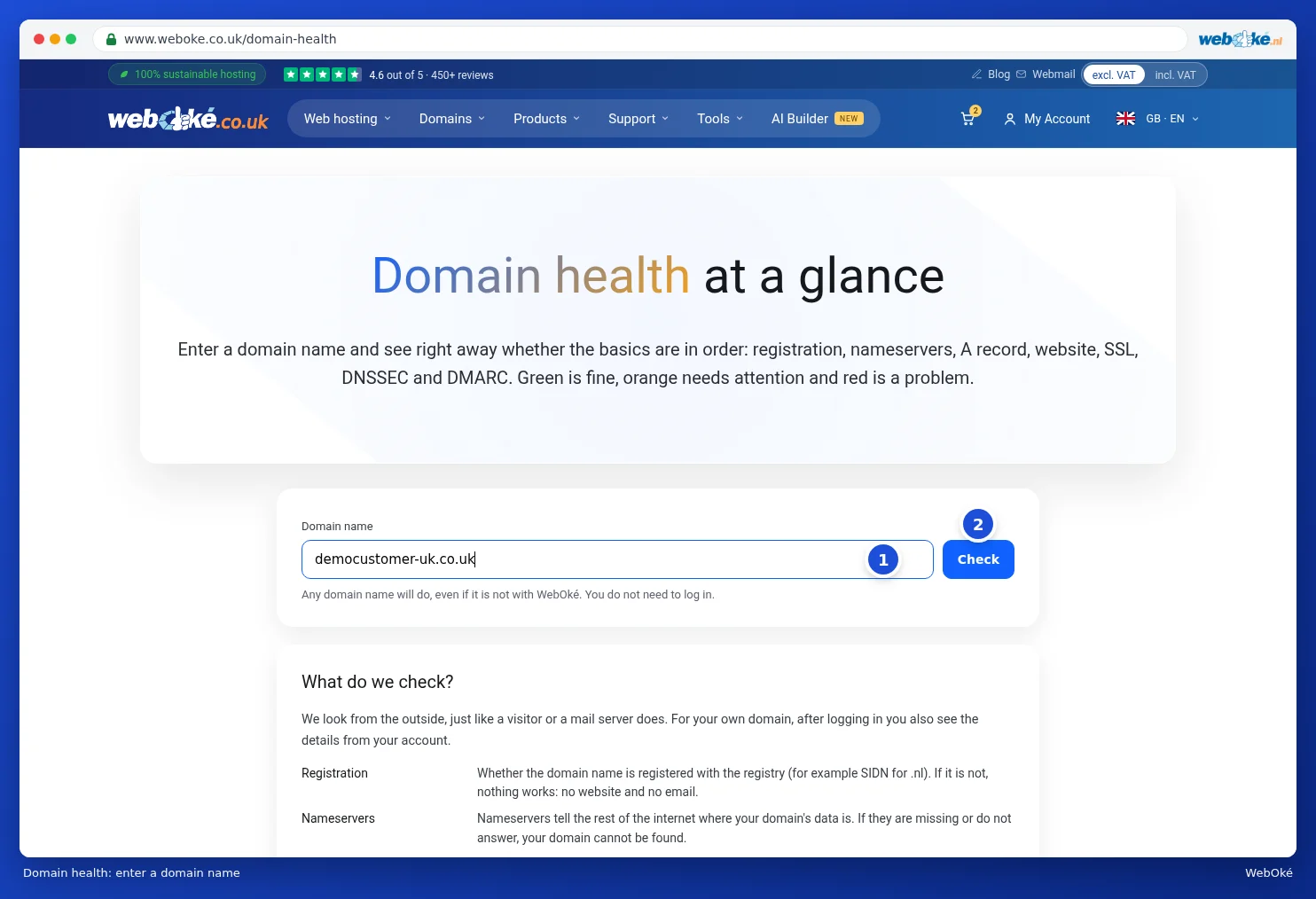 The Domain health page with a domain name filled in and the Check button