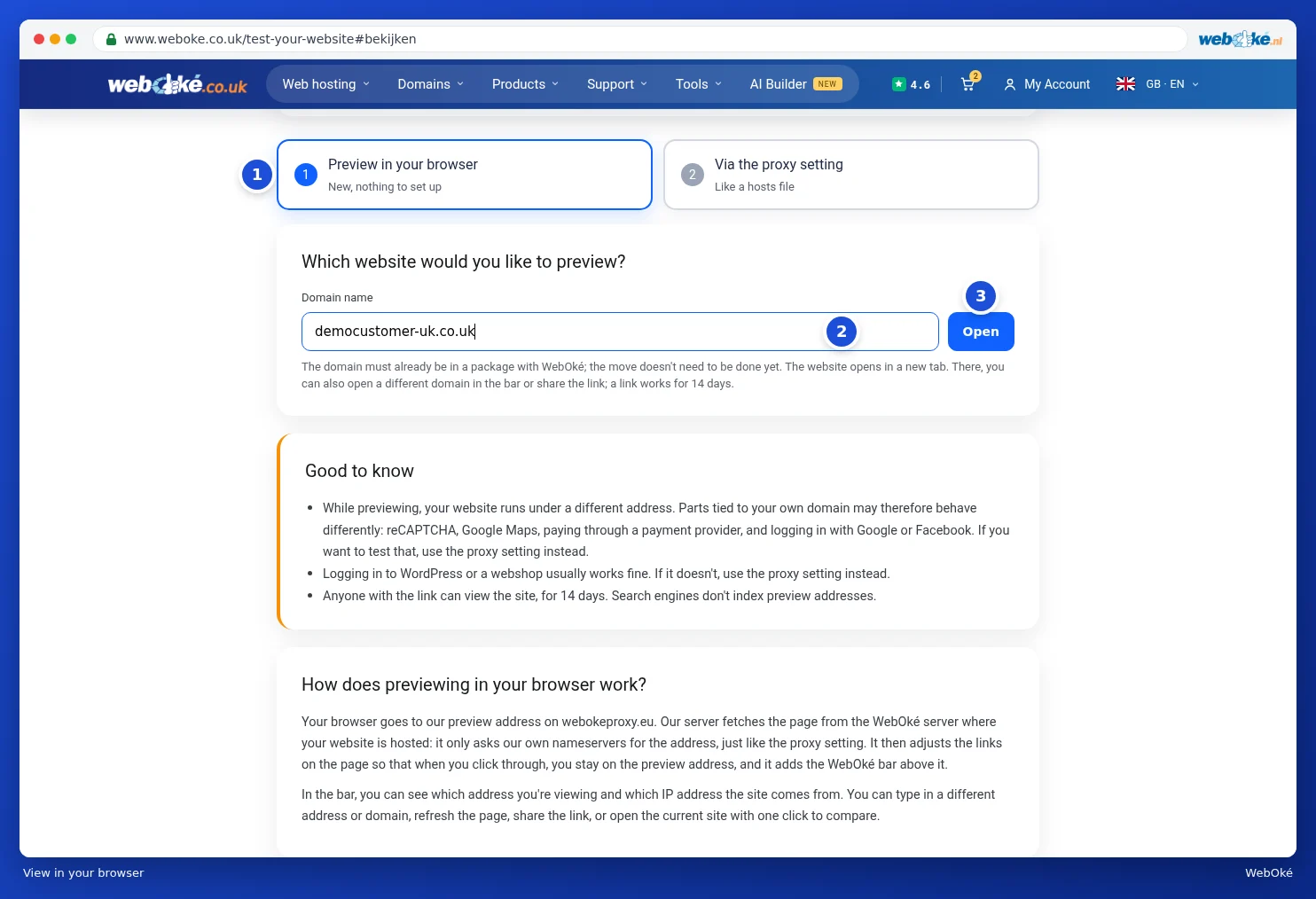 The Preview in your browser tab with a domain name entered and the Open button