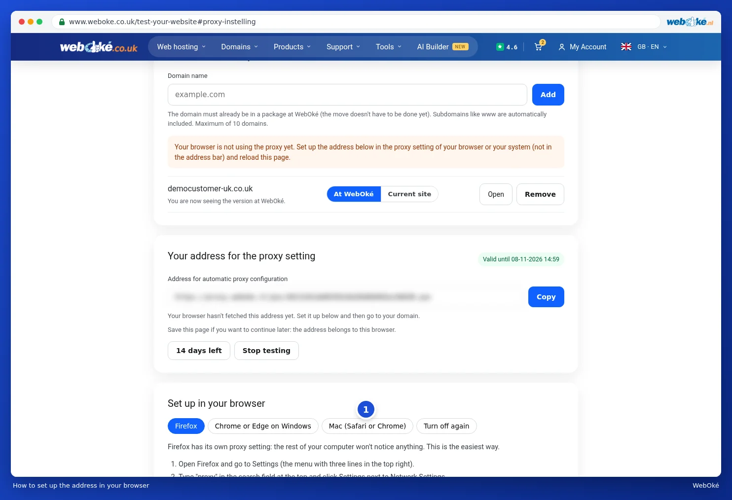 The tabs with step-by-step plans for Firefox, Windows and Mac and the instructions for turning it off again