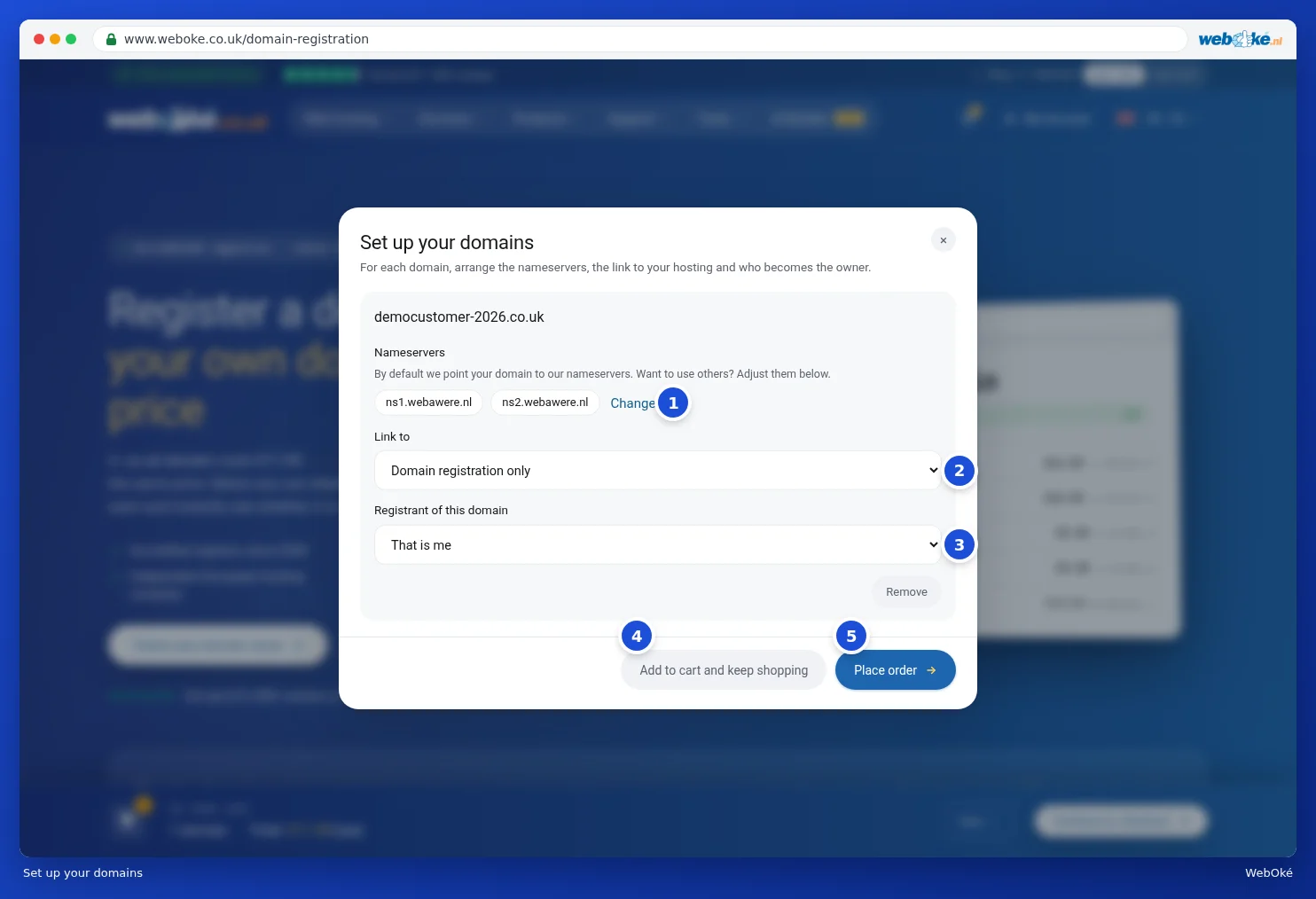 The Set up your domains window