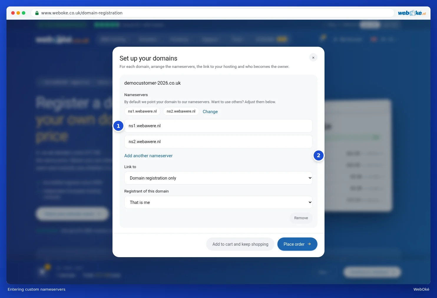 Entering your own nameservers