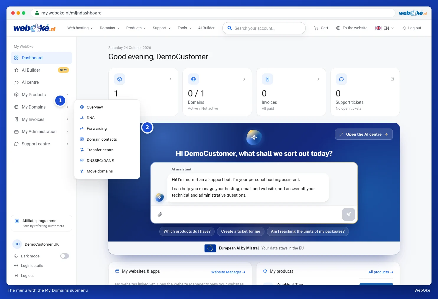The menu on the left with the My Domains submenu expanded