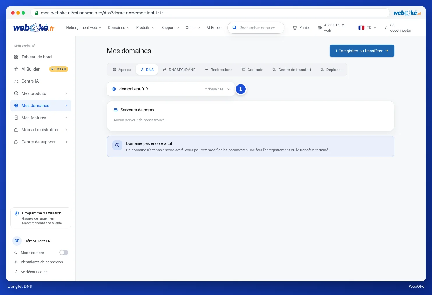 L'onglet DNS avec le choix du domaine, les serveurs de noms, les boutons et les paramètres e-mail
