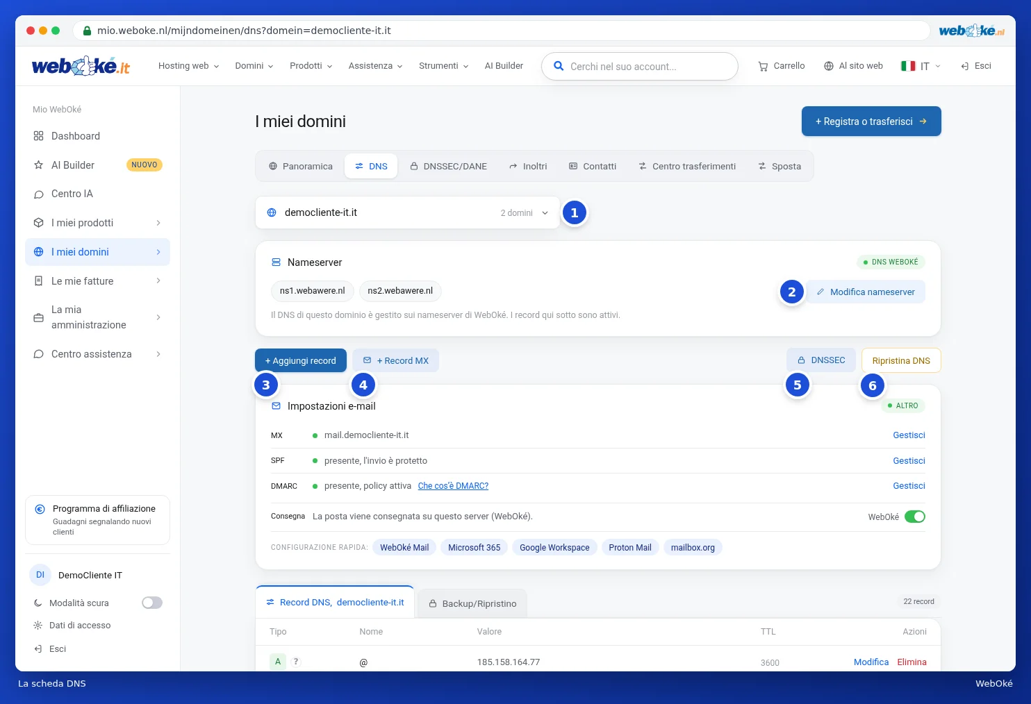 La scheda DNS con la scelta del dominio, i nameserver, i pulsanti e le impostazioni e-mail
