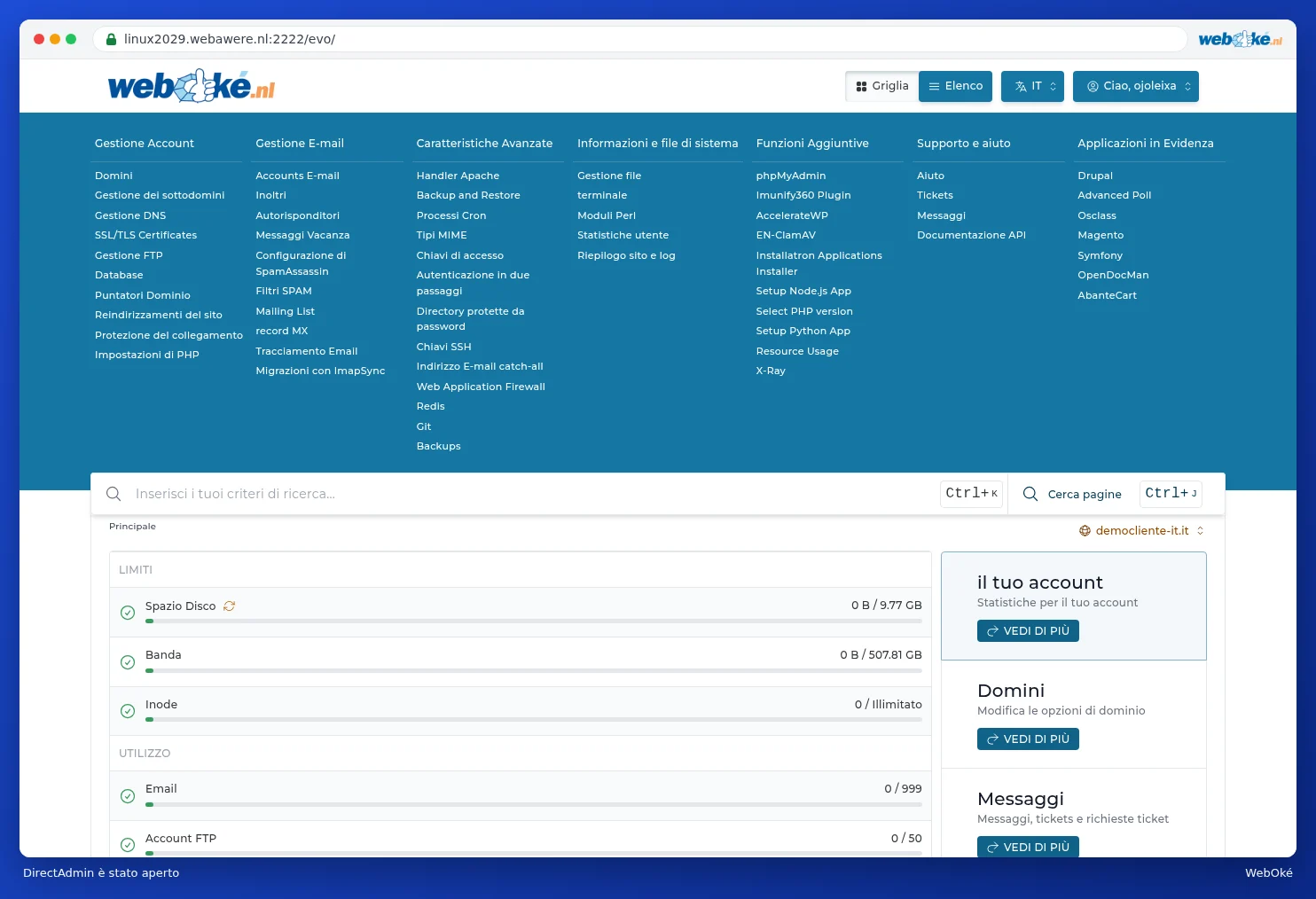 La schermata iniziale di DirectAdmin con l'account del cliente demo