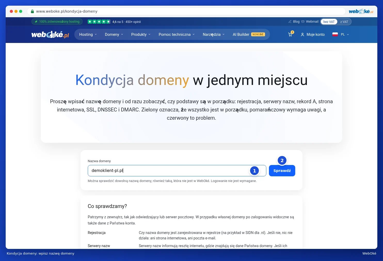 Strona Kondycja domeny z wpisaną nazwą domeny i przyciskiem Sprawdź