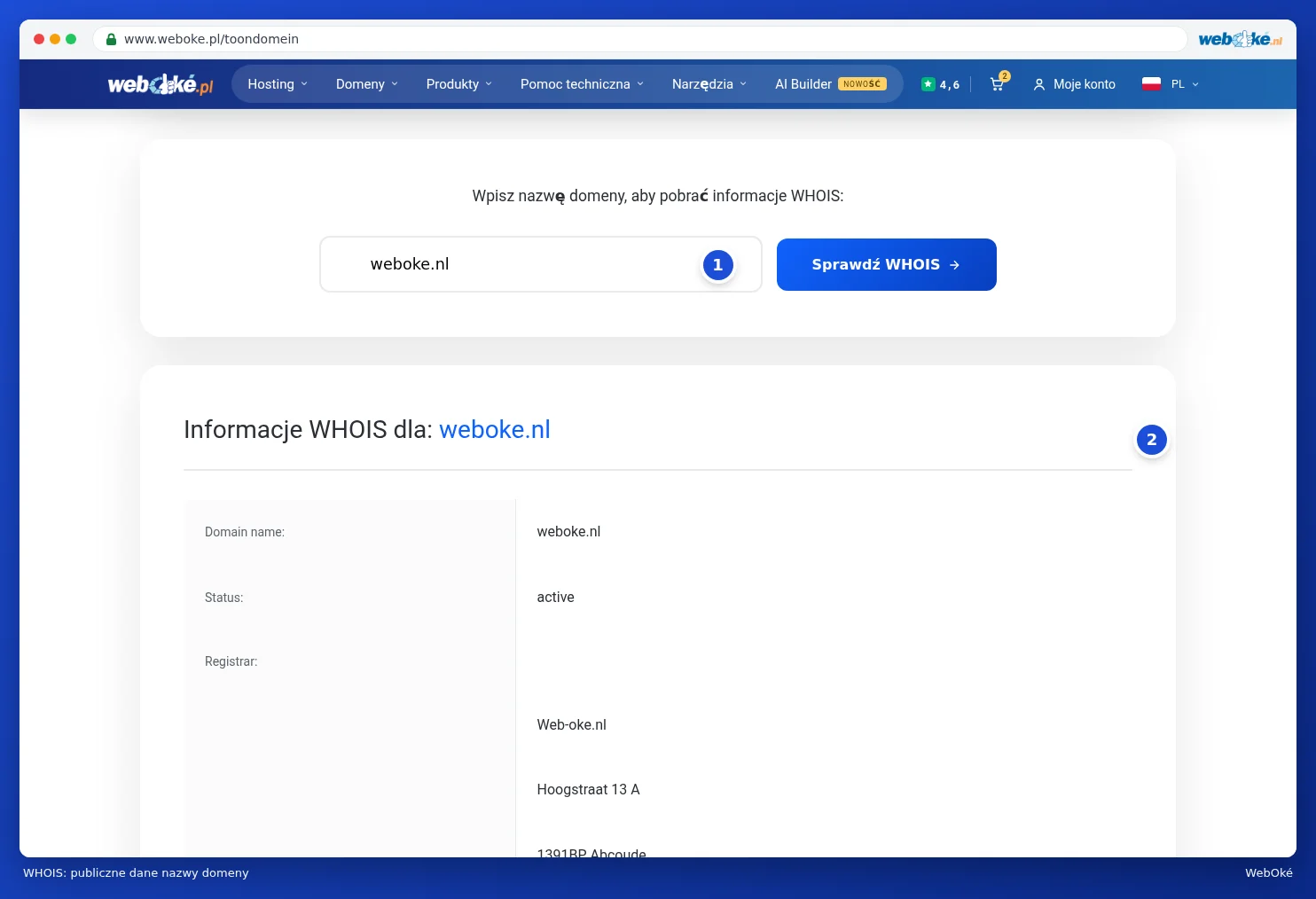 Wynik sprawdzania WHOIS dla weboke.nl z nazwą domeny, statusem i rejestratorem