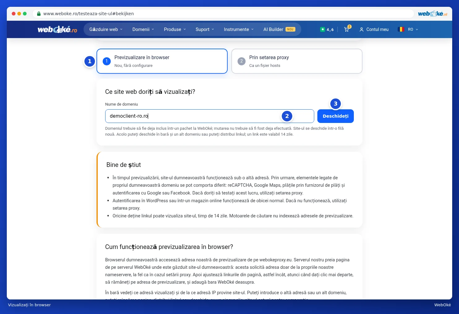 Fila Previzualizare în browser cu un nume de domeniu completat și butonul Deschideți