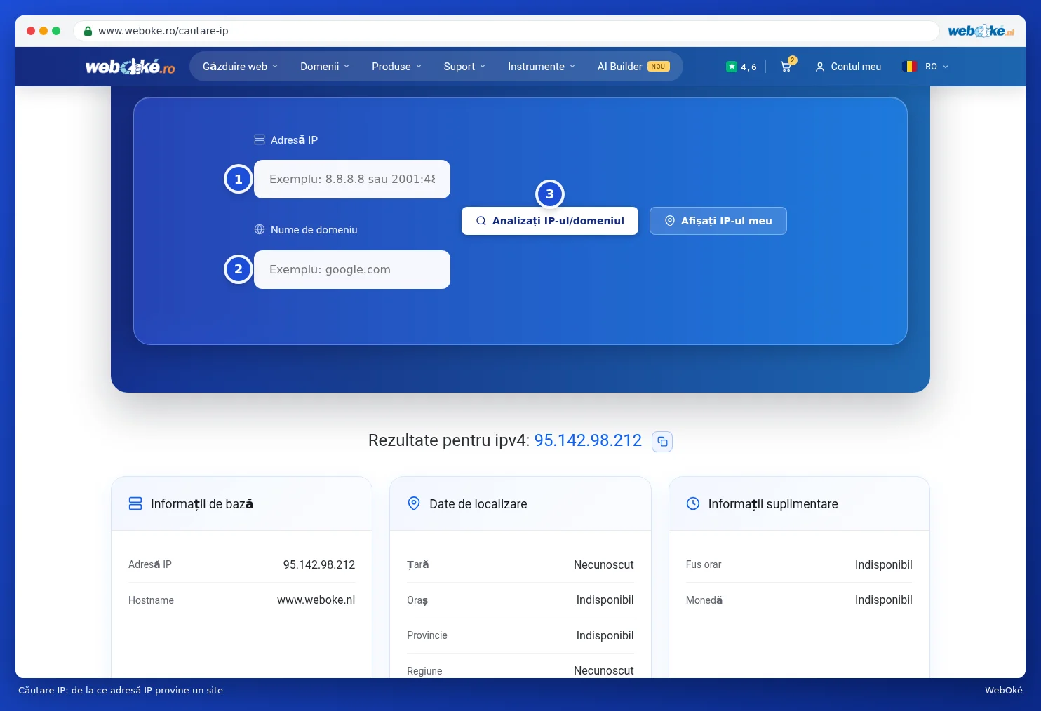 Căutarea IP cu câmpurile Adresă IP și Nume de domeniu și rezultatul pentru www.weboke.nl