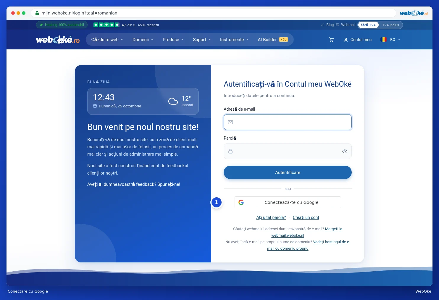 Pagina de conectare cu butonul Conectare cu Google