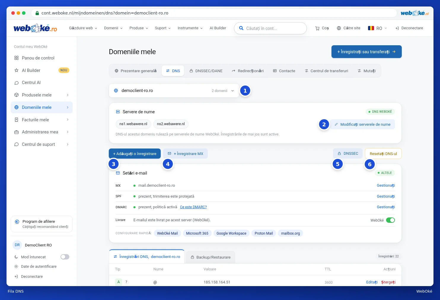 Fila DNS cu selectarea domeniului, serverele de nume, butoanele și setările de e-mail