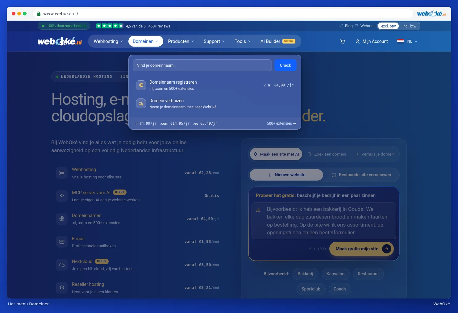 The expanded Domains menu