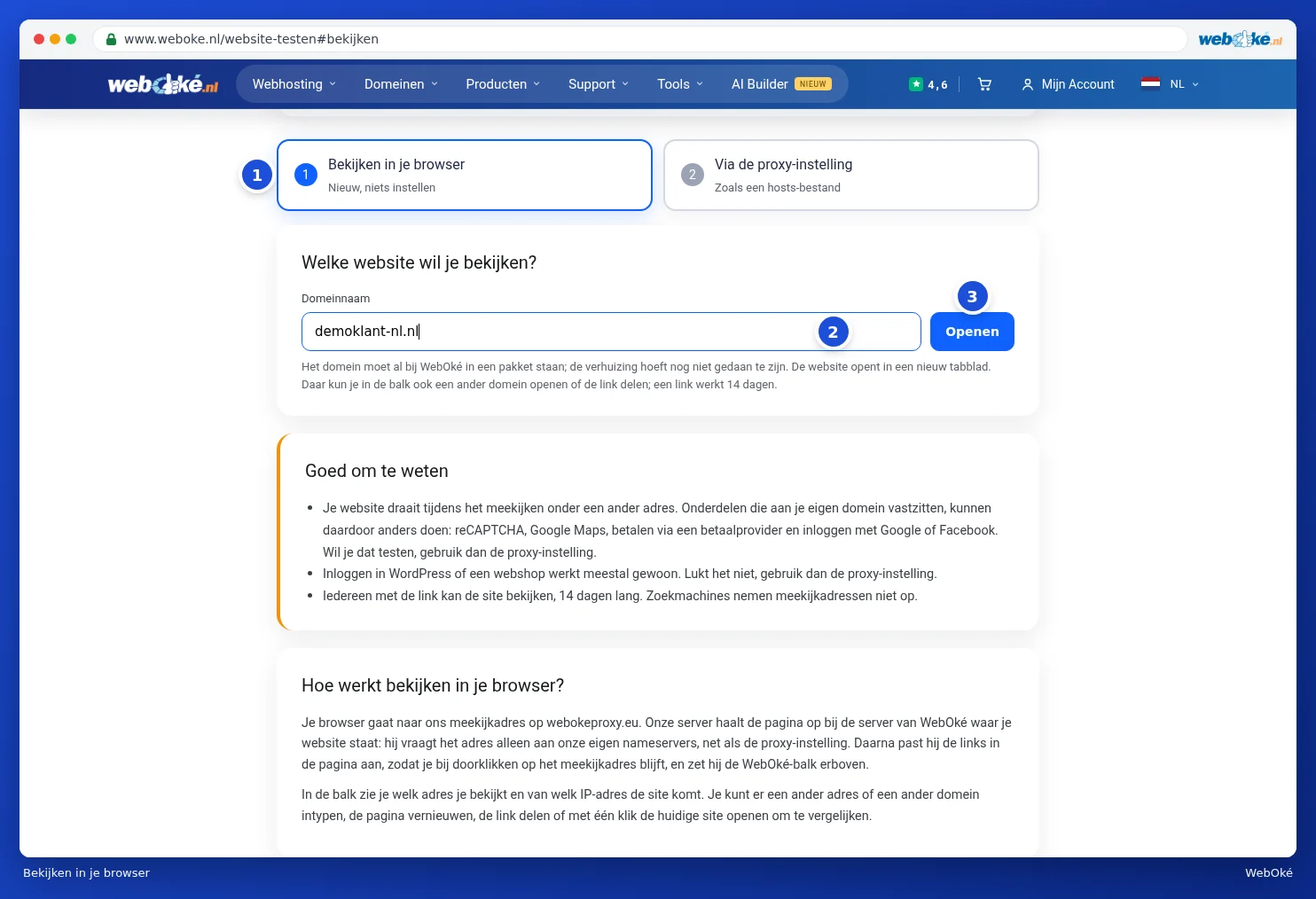 The Preview in your browser tab with a domain name entered and the Open button