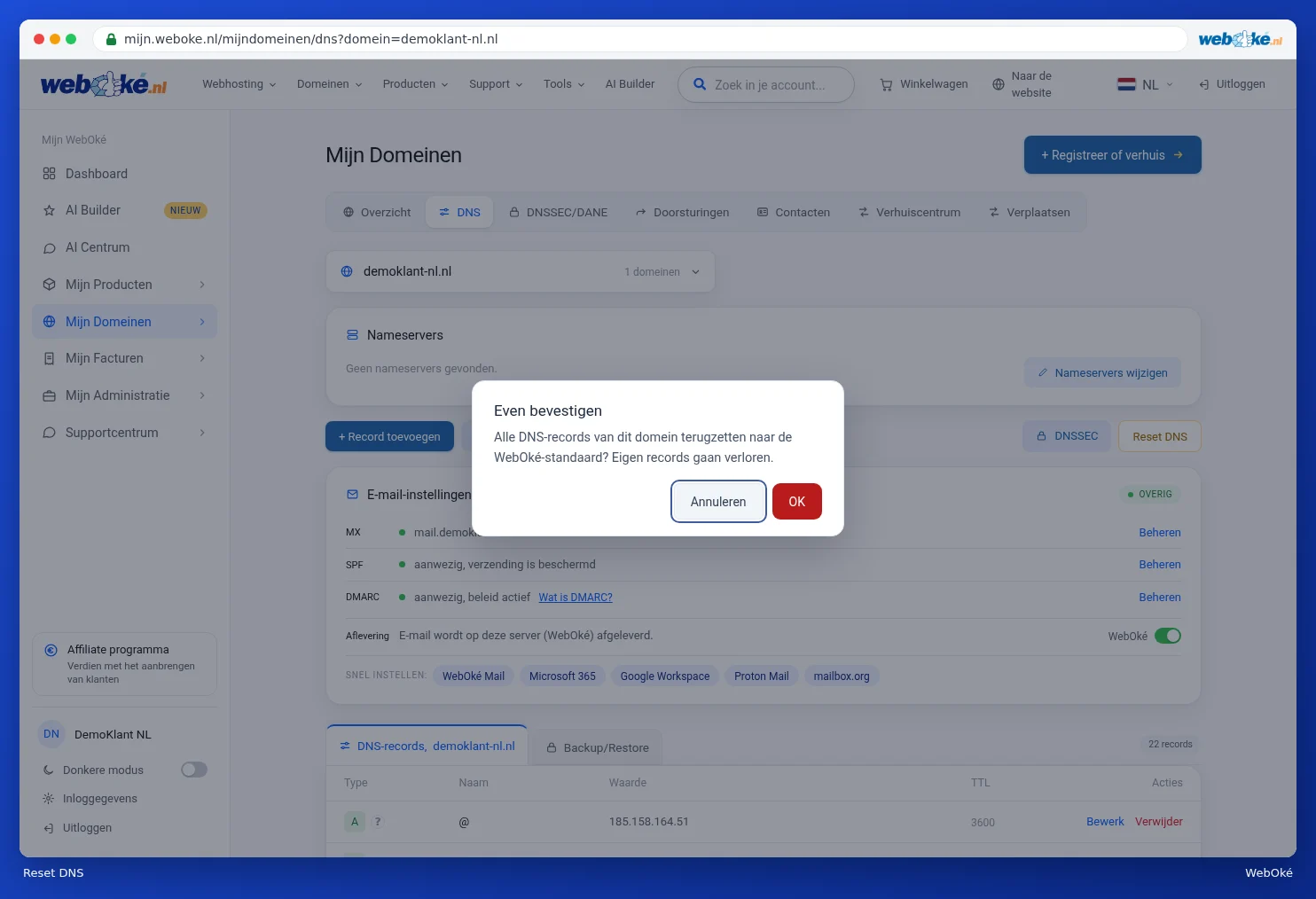 The question asking whether you want to reset all DNS records to the WebOké default