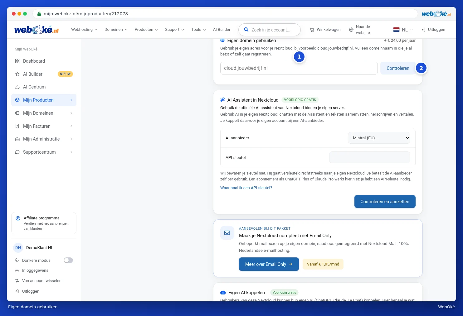The Use your own domain card with the input field and the Check button